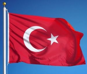 استاد زبان انگلیسی استاد آیلتس ترکیه : دوره فشرده آیلتس ترکیه با بهترین استاد آیلتس دکتر آرین کریمی در استانبول و دیگر شهرهای ترکیها